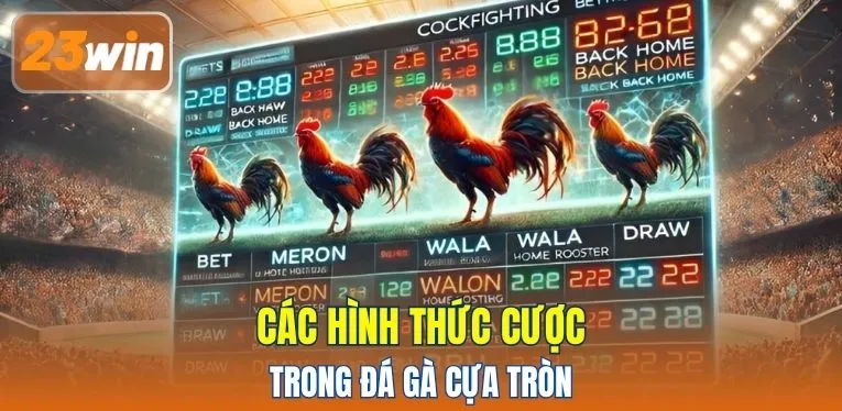 Các hình thức cược trong đá gà cựa tròn