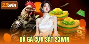 Đá Gà Cựa Sắt 23WIN - Tìm Hiểu Luật Lệ Và Cách Cược