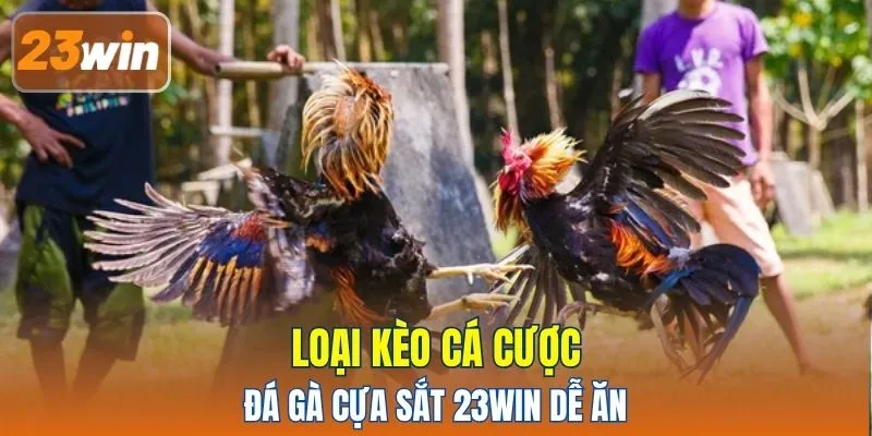 Loại kèo cá cược đá gà cựa sắt 23WIN dễ ăn